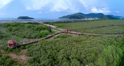 广东省阳江市海陵岛红树林国家湿地公园