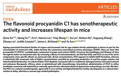 The flavonoid procyanidin C1 has senotherapeutic activity and increases lifespan in mice
