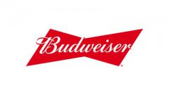 BudweiserƳԴ塰Ŀ